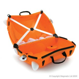 100620091721_tipu_open