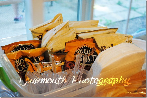 NSAMchipsutensilsnapkinssm