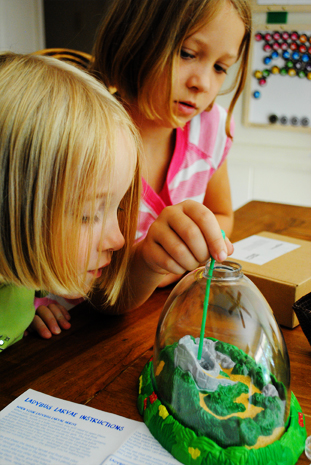DSC_0291 raising ladybugs