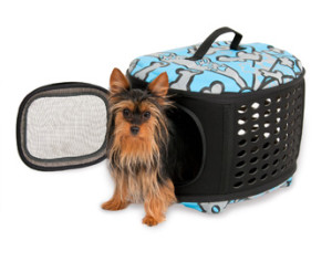 curvations pet retreat 2