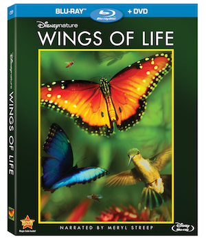 wings of life